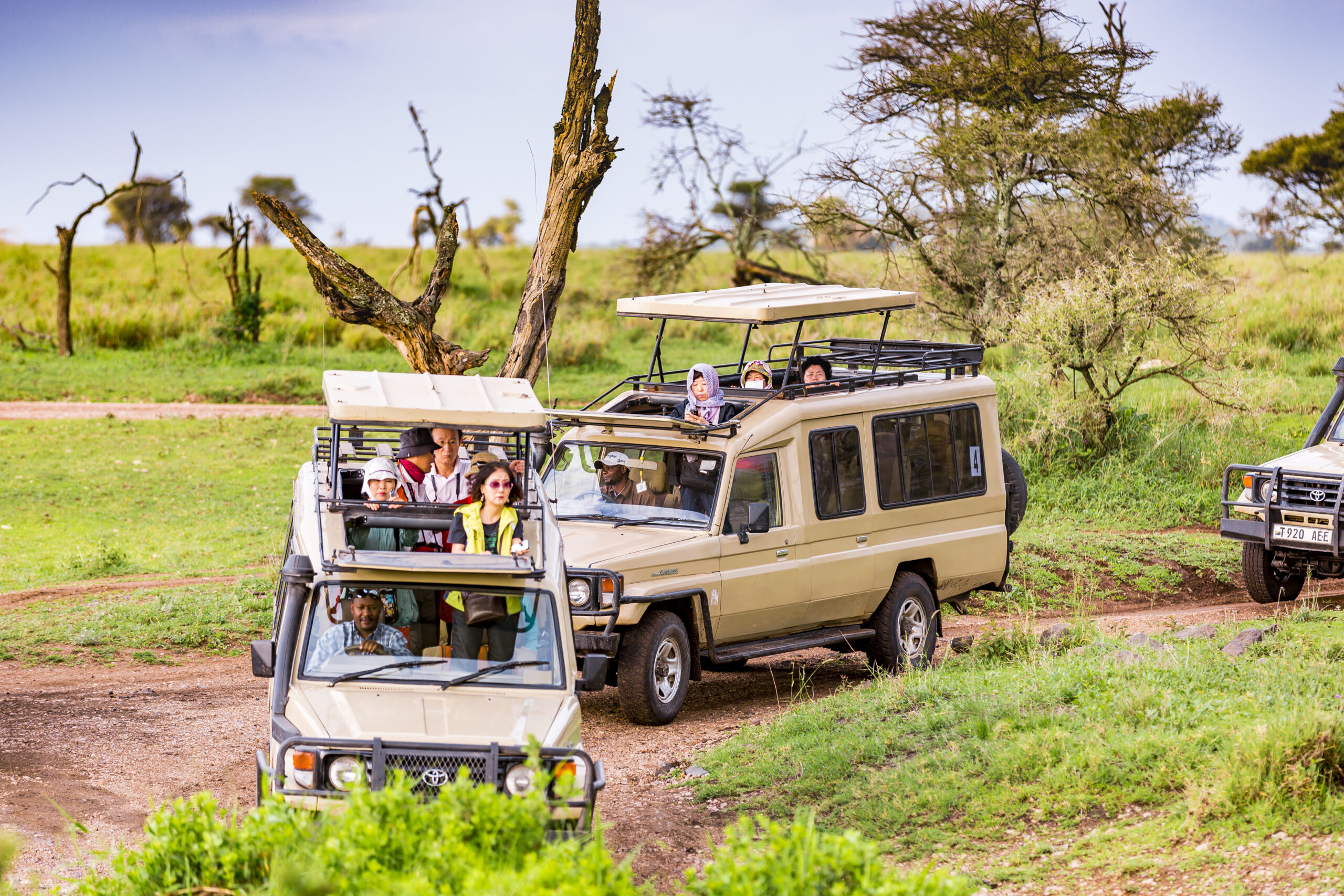 7 Days Tanzania Safari and Culture Experience