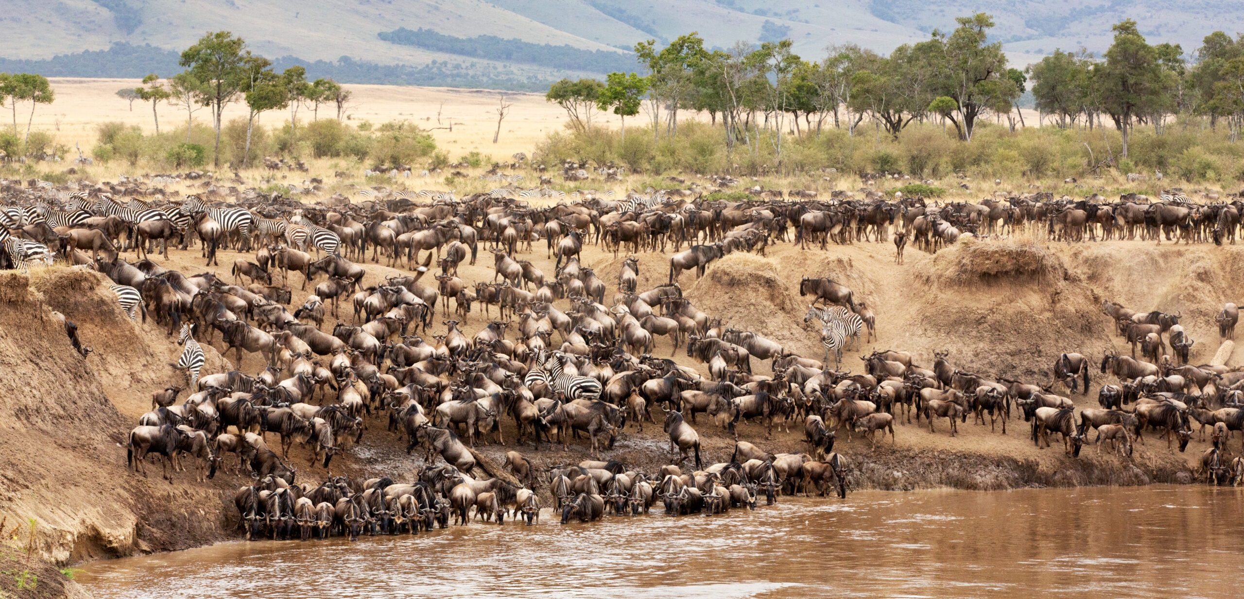8 Days Tanzania Safari: Migration and Culture Tour