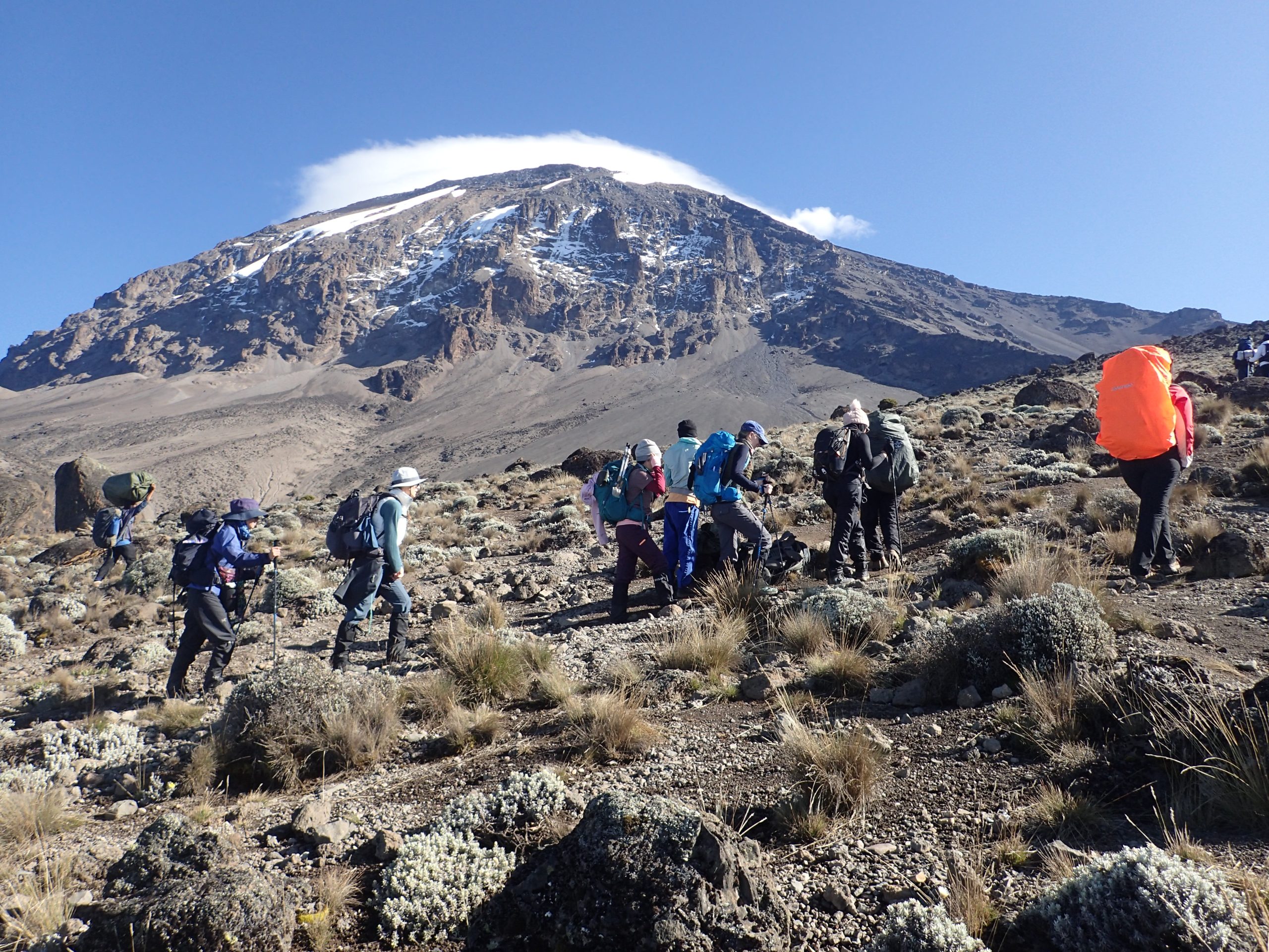 7 Days Rongai Route Kilimanjaro