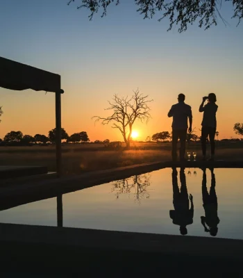 safari-africa-zimbabwe-little-makalolo-wilderness-safaris-15